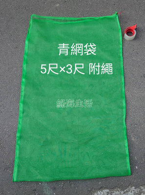 【綠海生活】16目 青網袋( 5尺*3尺,約84*148cm 附繩) 網袋 資源回收袋 防蟲網 保特瓶回收袋 回收網袋