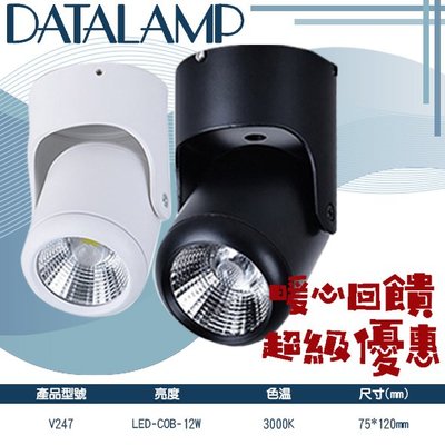 【阿倫燈具】(V247)LED-COB-12W吸頂式聚光投射燈 黃光 E27*1(光源另計) 全電壓 適用於室內空間