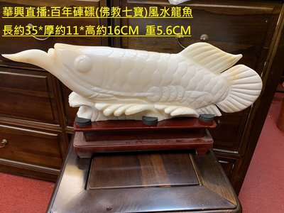 華興仿古家具(中和)百年硨磲.雙面雕刻佛教七寶.龍魚.硨磲龍魚.風水魚.長約35*厚約11*高約16CM*重5.6公斤.