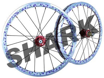 【SHARK商店】KASHIMA 20吋白花色451碟煞輪組(另有20吋/26吋/700C免運費實施中)