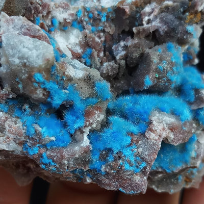 毛毛球狀碳絨銅礦Cyanotrichite重晶石晶洞   編3958