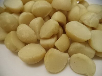 【野果集工坊】生夏威夷豆Raw Macadamia Nuts 600g，特選澳洲生鮮夏威夷豆，口感細緻、乳香濃郁