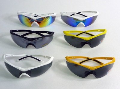 APEX 820 新款 防風眼鏡 運動眼鏡 護目鏡 自行車風鏡 (全套附4種pc鏡片)附贈腰包(框多色可選)