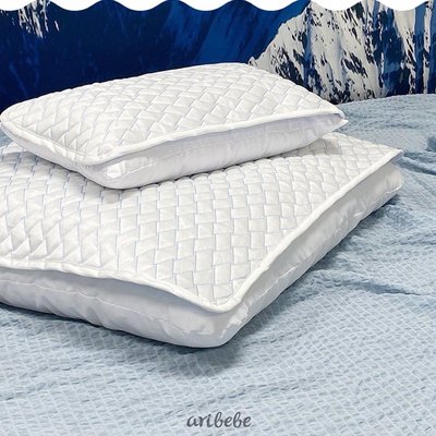 韓國Aribebe 阿拉斯加涼感 枕套-L號（50 x70cm)