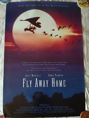 返家十萬里 原版美版雙面電影海報 Fly away home