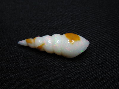 澳洲 蛋白石 雕刻 藝術 雕件 金紋海螺 6.6克拉 【Texture & Nobleness 低調與奢華】橘08