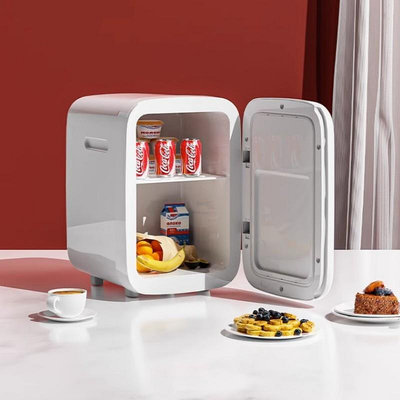 迷你小冰箱一人車載小冰箱小型家用迷你單人宿舍冷藏冷凍小冰柜。