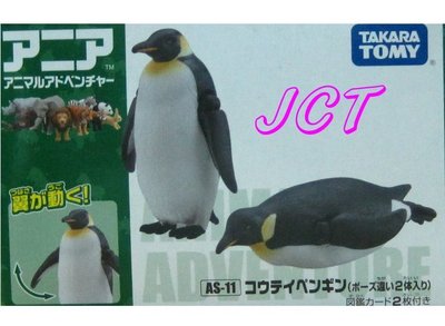 JCT 野生探險動物園(可愛動物園)─AS-11 國王企鵝 822486