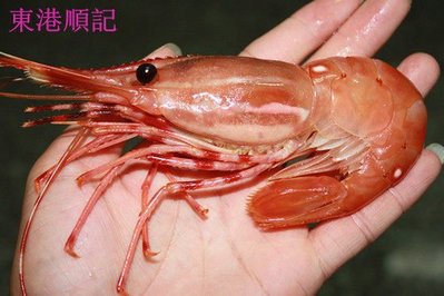東港順記 日本空運超低溫海鮮   牡丹蝦   1kg 約16~20尾   $ 2300元      (生食級商品)