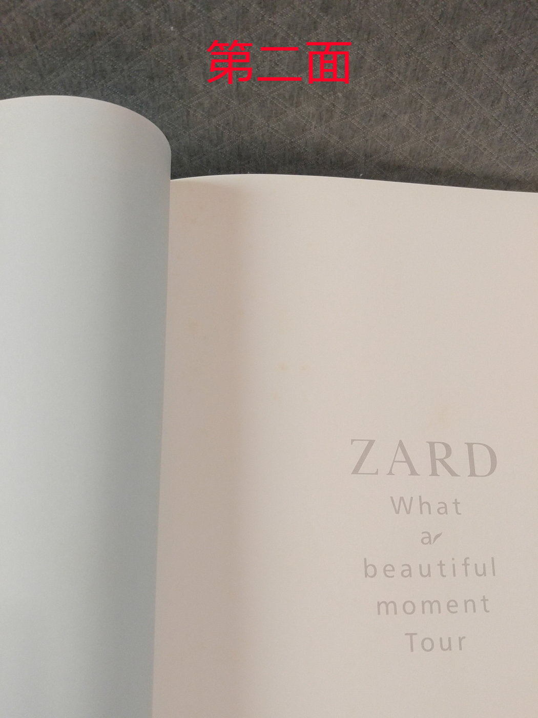 ZARD 2004What a beautiful moment Tour 全券 取扱店舗・直営店