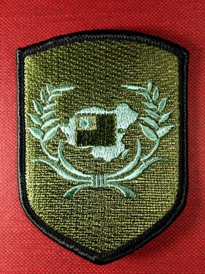 【布章。臂章】陸軍第六軍團胸章徽章/布章 電繡 貼布 臂章 刺繡