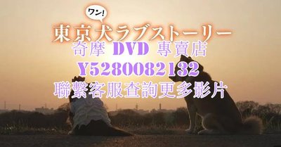 DVD 影片 專賣 2023年 東京犬愛情故事  2023年