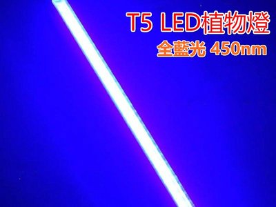 ♥遠見LED♥LED水草燈組 T5 3尺 16W 全藍光 450nm 附開關線 LED水族燈 LED植物燈 高雄LED