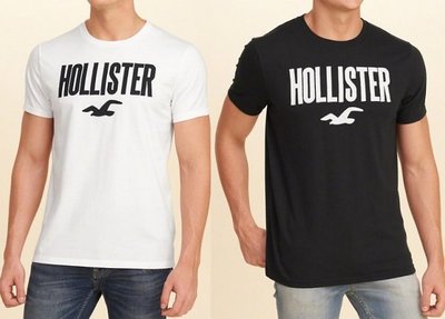 HCO Hollister 短袖 t恤 男生 上衣 海鷗 現貨 貼布 LOGO 美國姐妹屋