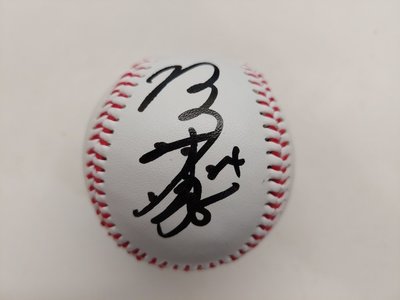 中華職棒 中華隊 統一獅 外野三鬼 傑尼獅 陳傑憲  親筆簽名球