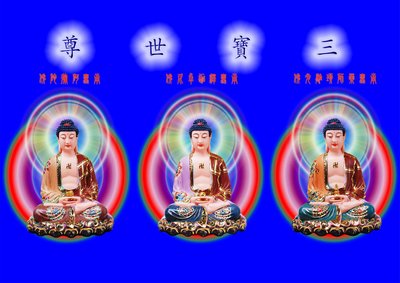 唐卡 佛教 佛像 轉運開光佛像畫像結緣佛菩薩畫像凈土三寶世尊 相紙雙面塑封阿彌陀佛