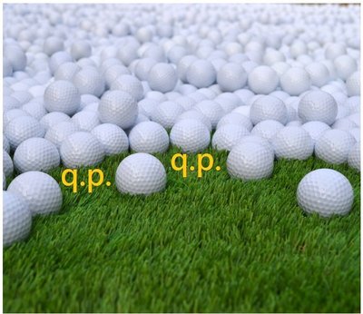 現貨 高爾夫球 雙層球 遠距離球 Golf 揮桿練習球  比賽用球 超耐打下場球 小白球 實用打擊球 空白球 白色球