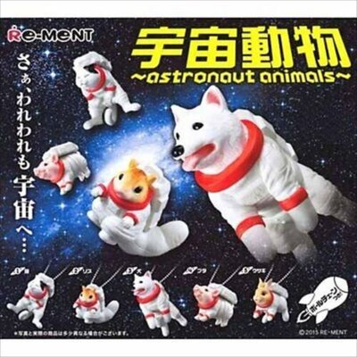 【日本發現最終套-展示品】扭蛋 轉蛋 宇宙動物 太空人，大全套 一次擁有 (犬 兔子 豬 貓 松鼠)