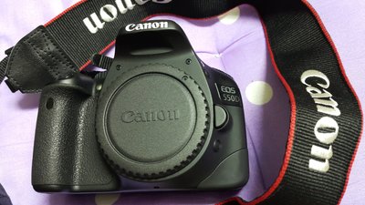 ✿~精靈小舖~✿CANON 原廠正品 Canon 550D~原廠公司貨