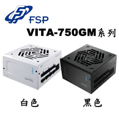 【MR3C】含稅 FSP 全漢 750W VITA GM 750 金牌 ATX3.1 PCIe5.1 全模組 電源供應器