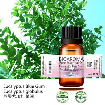 【純露工坊】藍膠尤加利精油Eucalyptus Blue Gum - Eucalyptus globulus  10ml