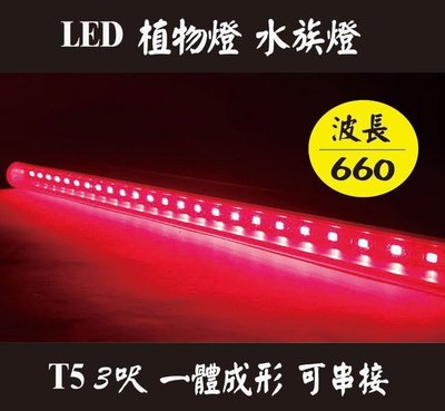 T5 LED 3尺3呎 紅光植物燈 水草燈 波長660nm 一體成型 可串聯 促進光合作用
