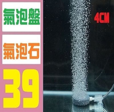 【三峽好吉市】水族 氣泡石 氣泡盤 打氣機 打氣 水管 水妖精 玻璃魚缸 2尺 3尺