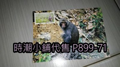 **代售郵票收藏**2018 中山大學郵局 台灣獼猴郵資票原圖卡攝影版 自然片   P899-71