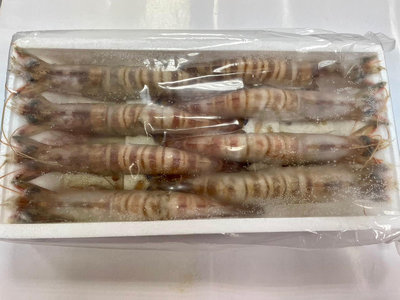 【萬象極品】斑節蝦(明蝦) 8尾/約450g~頂級海鮮食材~絕對挑動您的味蕾~