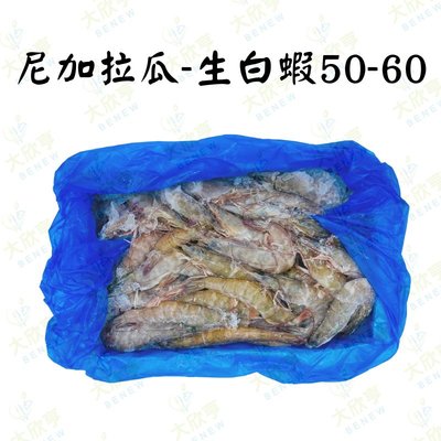 尼加拉瓜活凍生白蝦50-60【每盒870公克】《大欣亨》B211041  #4