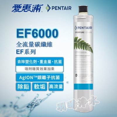 【愛惠浦公司貨 】EVERPURE EF6000 濾心 公司貨淨水濾芯 雷射標籤