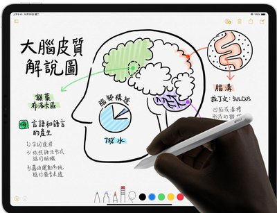 全新保證正品蘋果原廠Apple Pencil 2 第二代觸控筆iPad / iPad Pro 