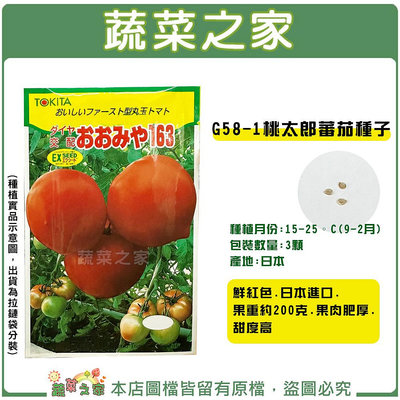 【蔬菜之家滿額免運】G58-1.桃太郎番茄種子3顆//果菜種子,番茄種子,種子,大番茄