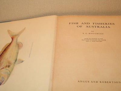 《字遊一隅》Fish &Fisheries of Australia 澳洲的魚類與漁業 1971出版 B3