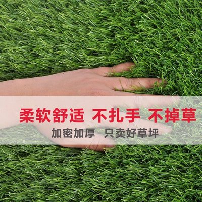 仿真草坪綠化人造假草皮地毯墊子工地圍擋工程足球場庭院鋪地草坪~特價