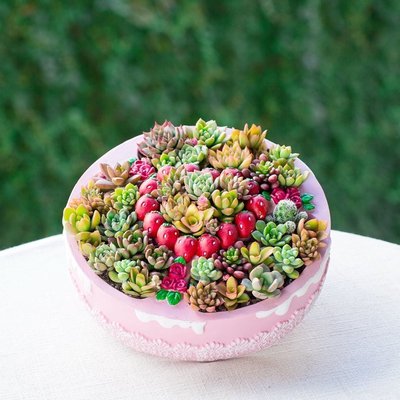 熱銷 特色大號口徑圓形20cm粉色多肉肉植物花盆草莓蛋糕園藝裝飾小擺件KK