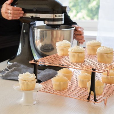 美國進口 Nordic Ware 雙層網格冷卻蛋糕架面包曲奇晾網烘焙工具
