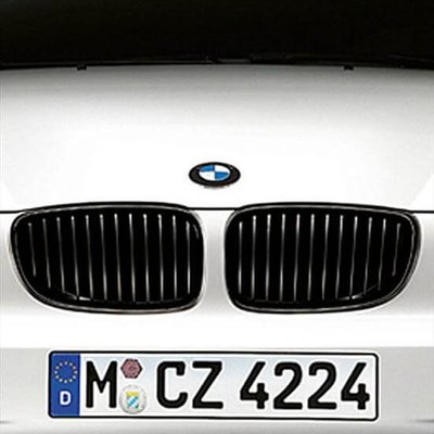 【樂駒】DINAN BMW F80 M3 水箱罩 水箱護罩 高光黑 鼻頭 空力 外觀 套件 精品 改裝