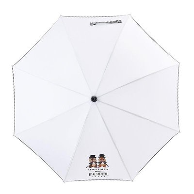 日本迪士尼奇奇蒂蒂雨傘