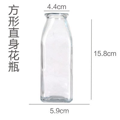 小方瓶 贈送種植籃和介質 水培玻璃花瓶牛奶瓶