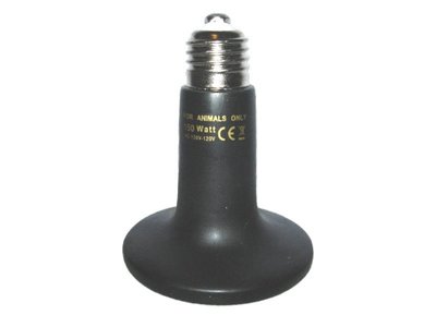 黑色遠紅外線陶瓷加熱器 150W 無光 歐洲CE安全性認證 品質保證 效率高 防爆  鸚鵡 鳥類 幼鳥 保溫燈 取暖燈