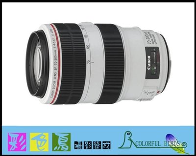彩色鳥 (租鏡頭)租 Canon EF 70-300mm F4.5-5.6 L USM IS 5D4 A73 R6