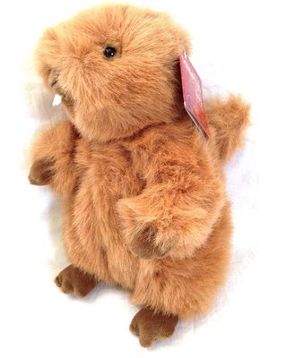 14551c 日本進口 好品質 限量品 可愛 土撥鼠娃娃動物 抱枕絨毛絨玩偶娃娃擺設玩具送禮禮物