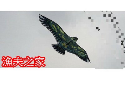 [漁夫之家] 布面立體逼真老鷹風箏 / 1.55米( 155公分) 農田趕鳥神器 / 嚇鳥神器