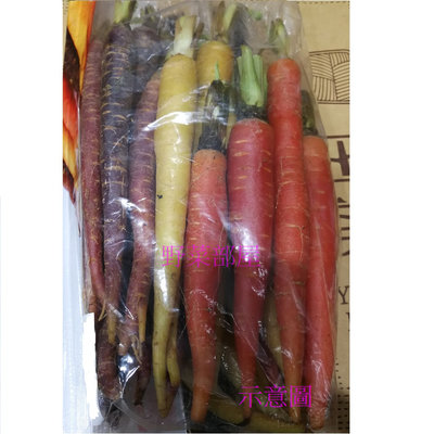 【野菜部屋~】I40 彩色胡蘿蔔種子0.6公克 , 極適合生菜沙拉及各項烹煮 , 每包15元~