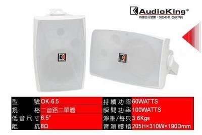 台灣撼聲 Audio King 專業卡拉OK歌唱專業用喇叭 OK-6.5(白/黑)兩色~可當環繞~  美華 音圓