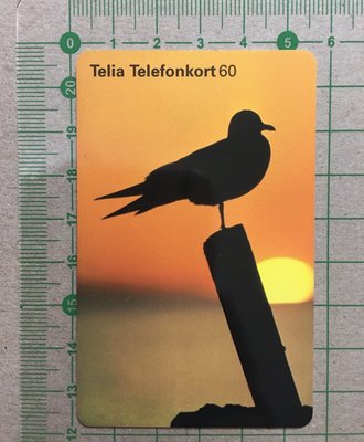 【卡庫】【鳥類】【日落】瑞典1997年，海鷗  KSE6083
