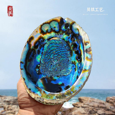 墨西哥大藍鮑魚貝殼收藏熏香鼠尾草大漆鑲嵌材料水族造景家居擺件