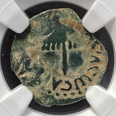 NGC-F 猶太人 希律王國 阿格里帕一世1普魯塔銅幣 公元【店主收藏】17656