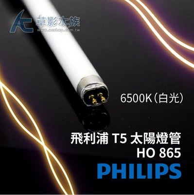 【AC草影】 PHILIPS 飛利浦 T5 太陽 燈管 HO 865（54W） 【一支】